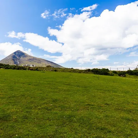 فيلة Golden View *